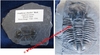 Asaphiscus wheeleri - Trilobite sur plaque fossilisée - Cambrien Moyen - Utah, USA.