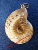 Ammonite fossilisée et opalisée - Pendentif  d'environ 3,3 x 2,7 cm - MADAGASCAR