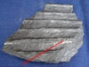 Fougère fossilisée - Plaque 12 x 10 cm environ - Carbonifère - Pas-de-calais, FRANCE.