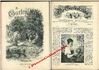 Anonyme - "DIE GARTENLAUBE" - 1894 - ERNST KEIL'S Editeur - Le journal de la famille illustré