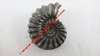 Pleuroceras Spinatum - Ammonite fossilisée pyriteuse 3,8 cm environ - Pliensbachien