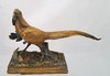 DUBUCAND (1828/1894) - bronze  représentant un faisan dans un décor de feuillages
